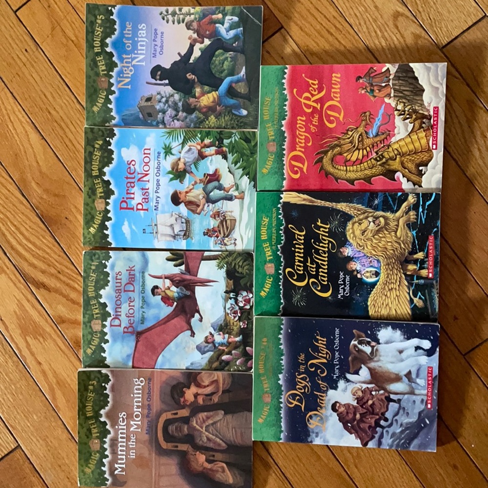 Lot of 7 Magic Tree House books